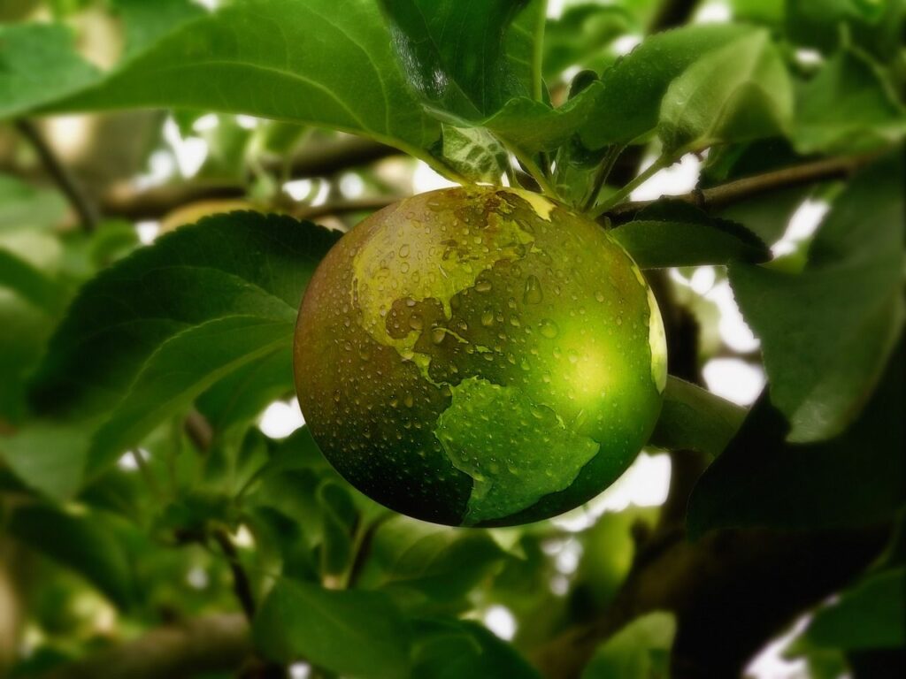 sustainability-earth